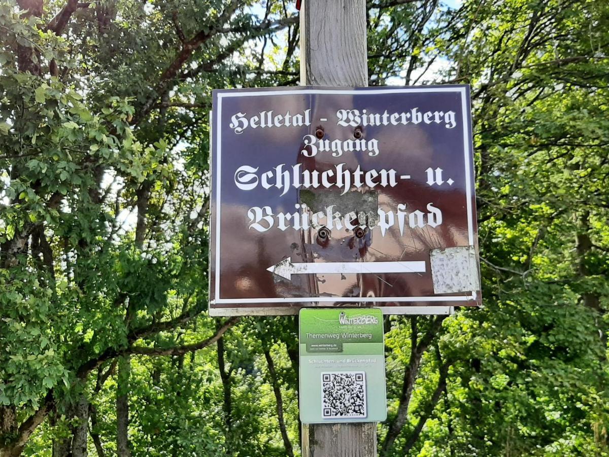 Ferienwohnung Zeitlos, Gigantischer Seeblick, Wlan, Gerne Mit Hund วินเทอร์แบร์ก ภายนอก รูปภาพ